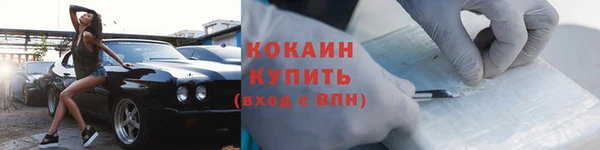МДПВ Новозыбков