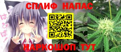 соль ск Будённовск