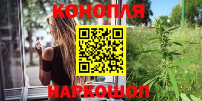 гашик Бузулук