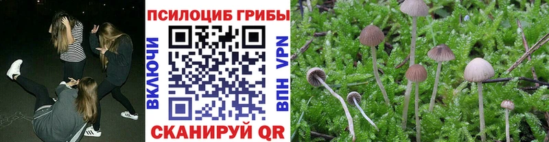 Галлюциногенные грибы Magic Shrooms  кракен зеркало  Советский 