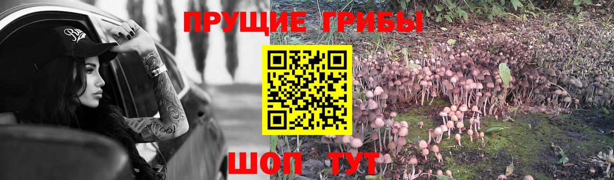 Галлюциногенные грибы Magic Shrooms  Советский 