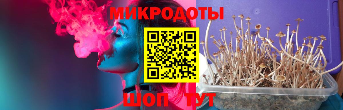 Советский  Галлюциногенные грибы мицелий  Вход с VPN 