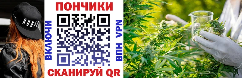 Канабис планчик  Советский 